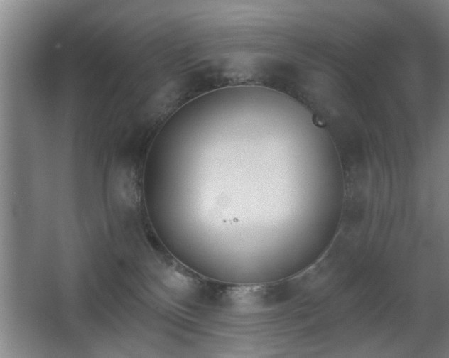 X0000068260136200604241241