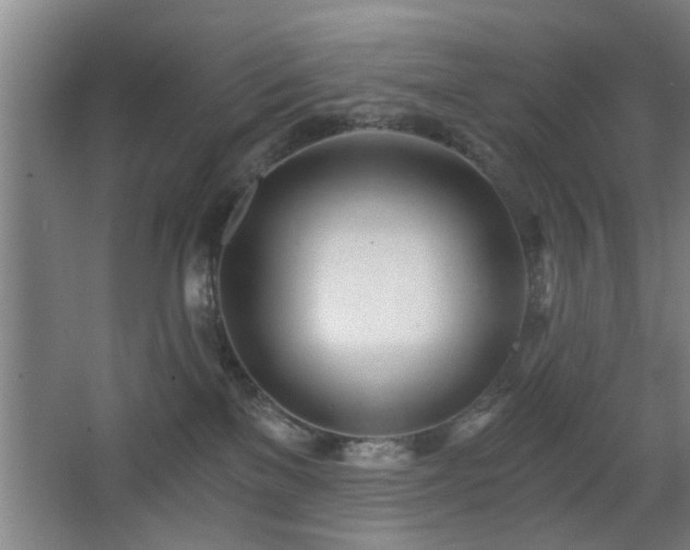 X0000068260137200604241241