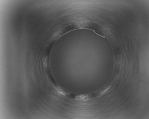 X0000068260139200604241241