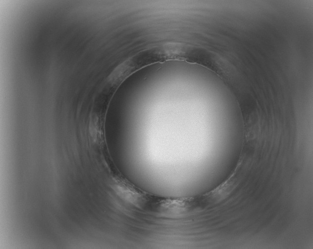 X0000068260140200604241241