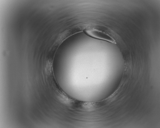 X0000068260142200604241241