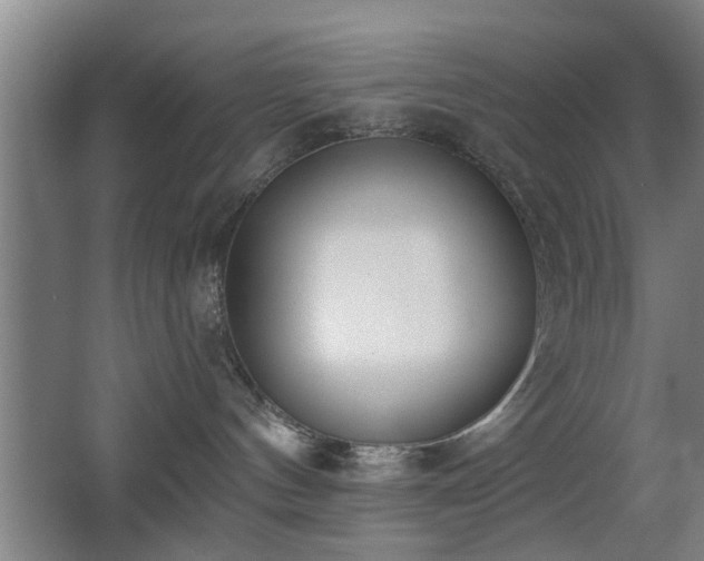 X0000068260144200604241241