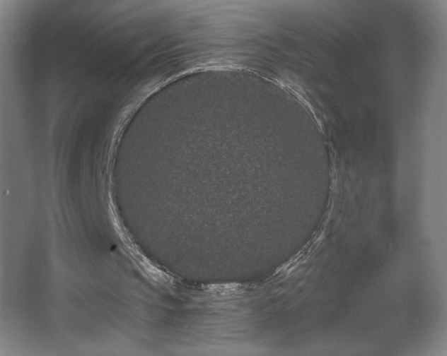 X0000068260145200604241240