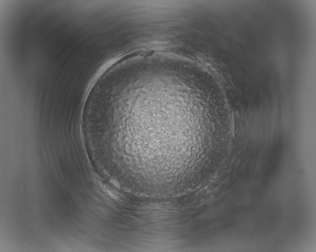 X0000068260147200604241240