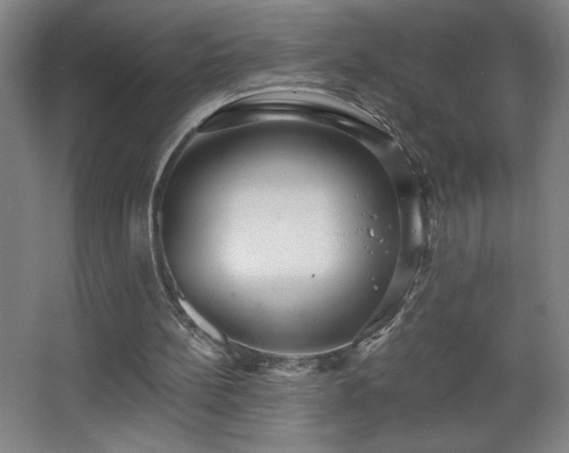 X0000068260148200604241240