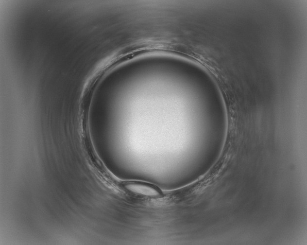 X0000068260149200604241240