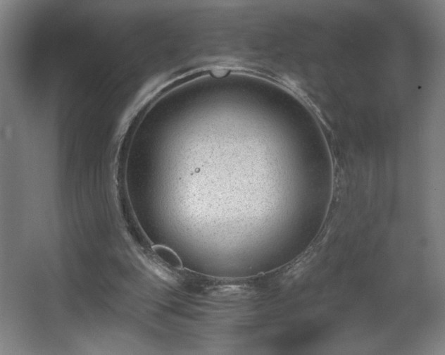 X0000068260151200604241240