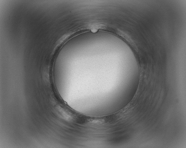 X0000068260155200604241241