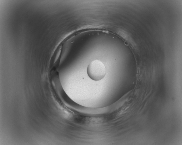 X0000068260156200604241241