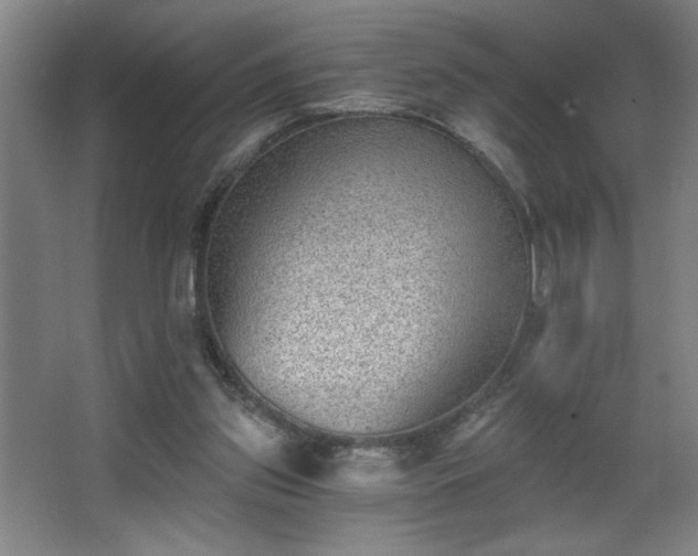 X0000068260157200604241241