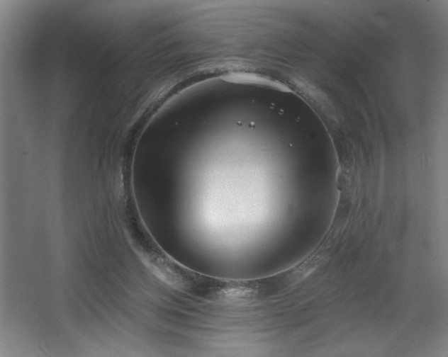 X0000068260158200604241241