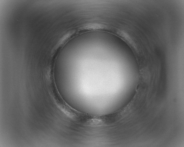 X0000068260159200604241241