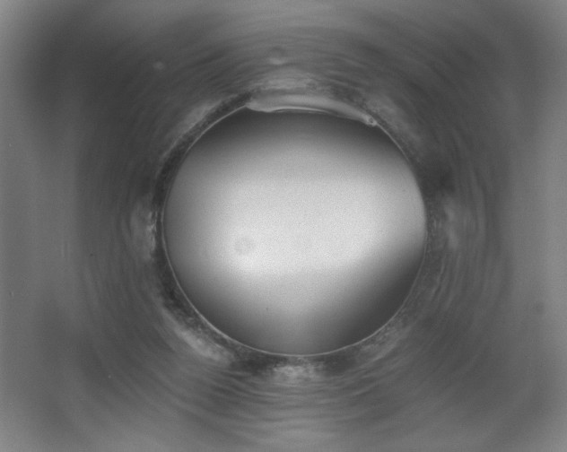 X0000068260160200604241241