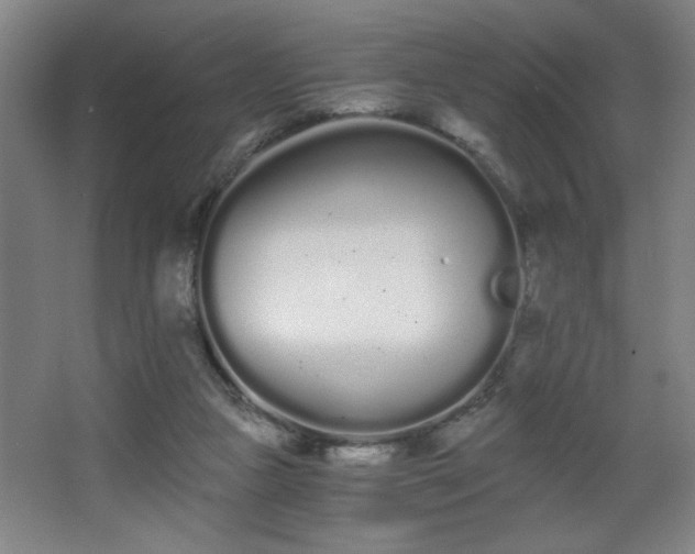 X0000068260161200604241241