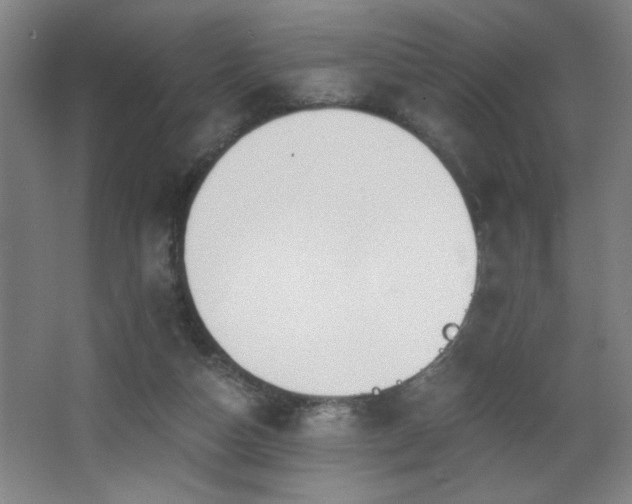 X0000068260162200604241241