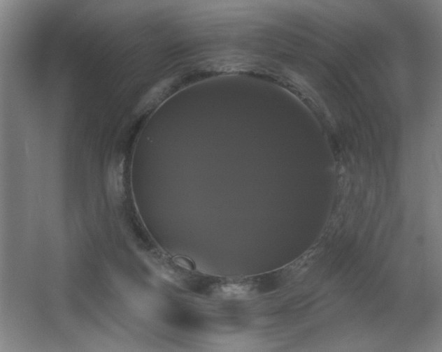 X0000068260163200604241241