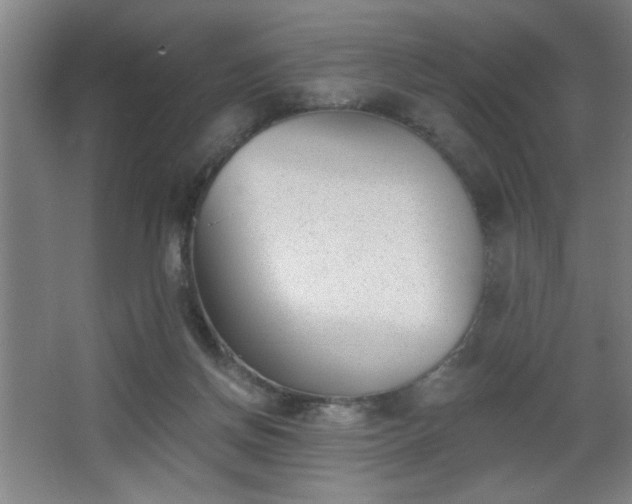 X0000068260166200604241241