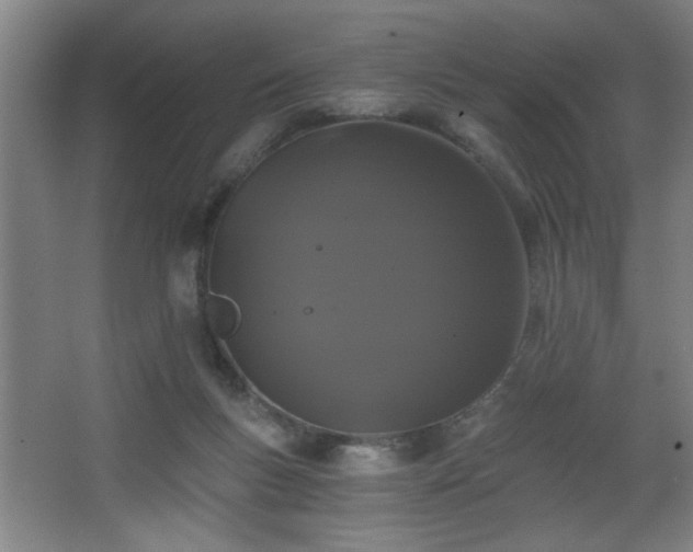 X0000068260167200604241241