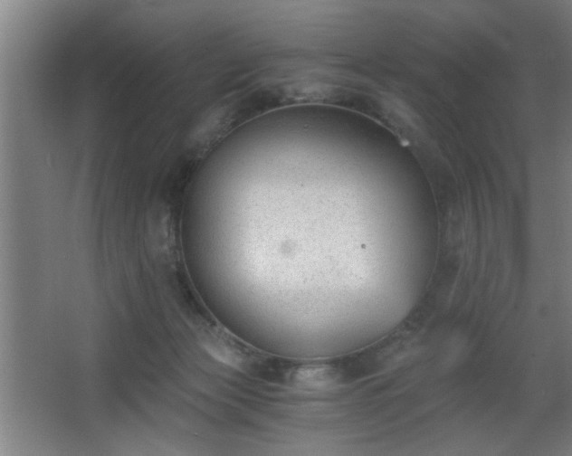 X0000068260173200604241241