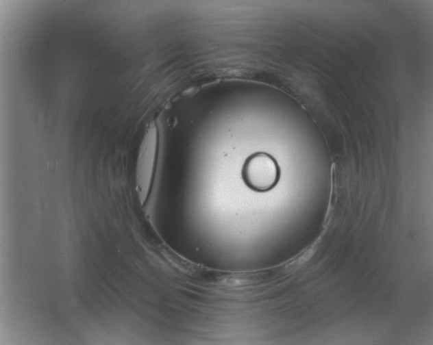 X0000068260174200604241241