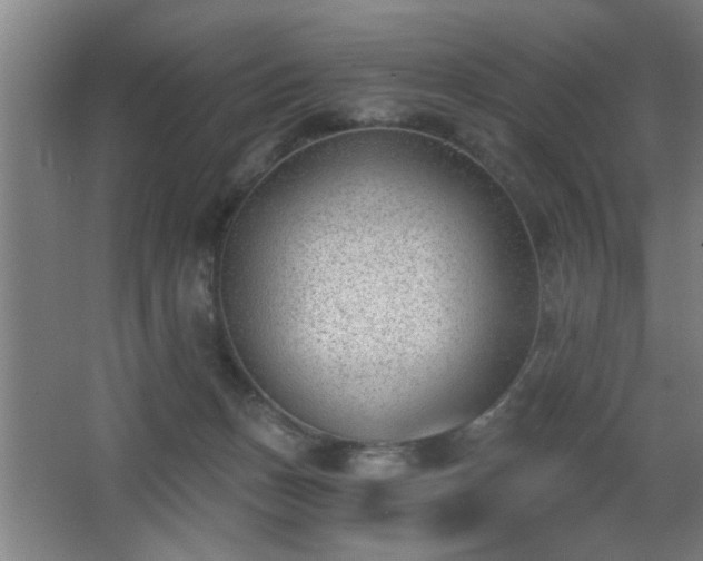 X0000068260175200604241241