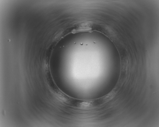 X0000068260176200604241241