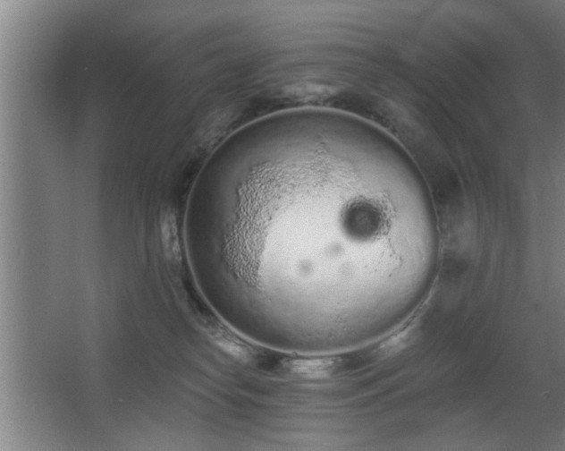 X0000068260182200604241241