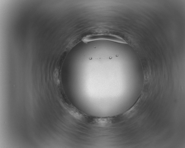 X0000068260187200604241241