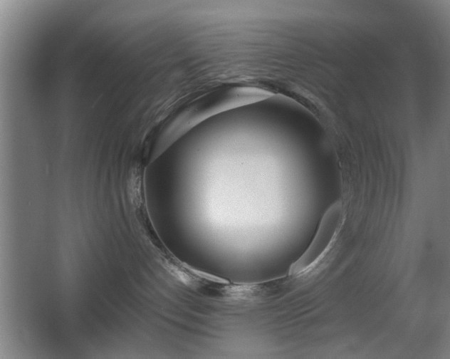 X0000068260192200604241241