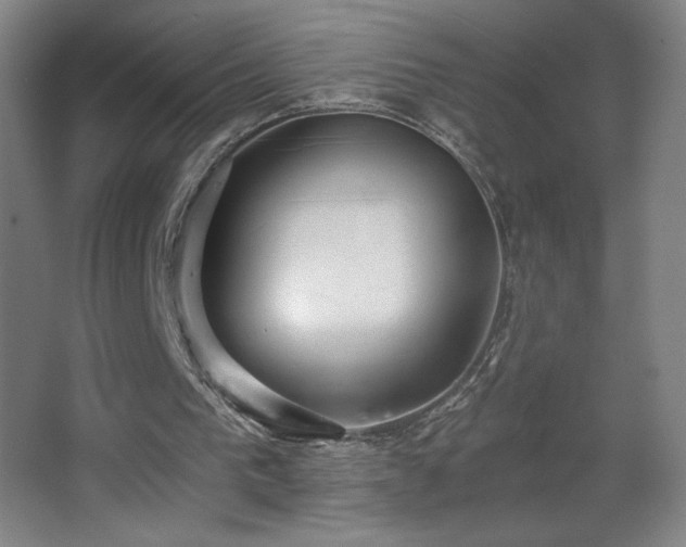 X0000068260193200604241240