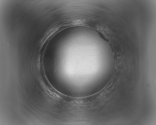 X0000068260194200604241240