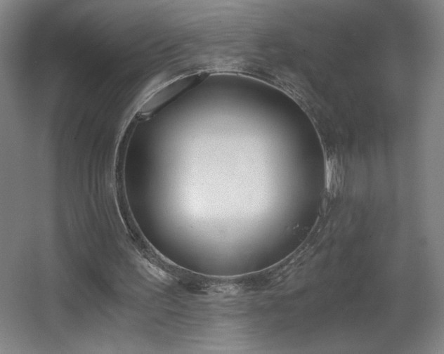 X0000068260195200604241240