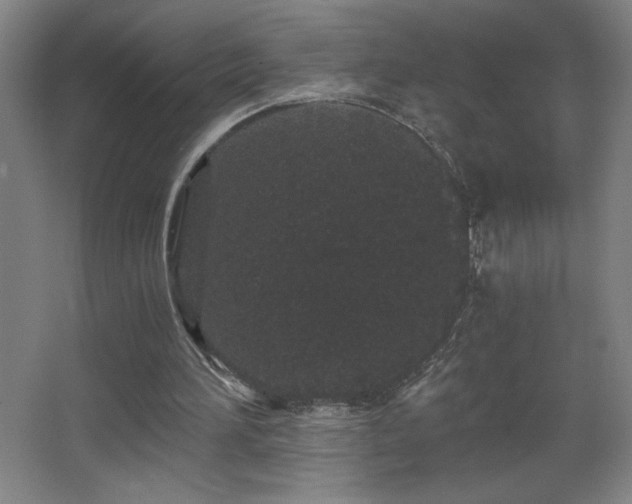 X0000068260196200604241240