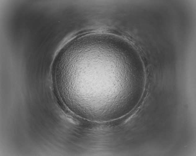 X0000068260198200604241240