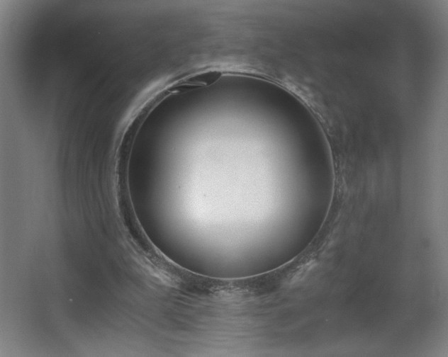 X0000068260199200604241240