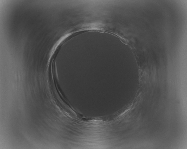 X0000068260200200604241240