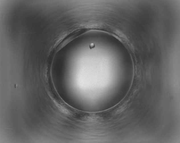 X0000068260201200604241240