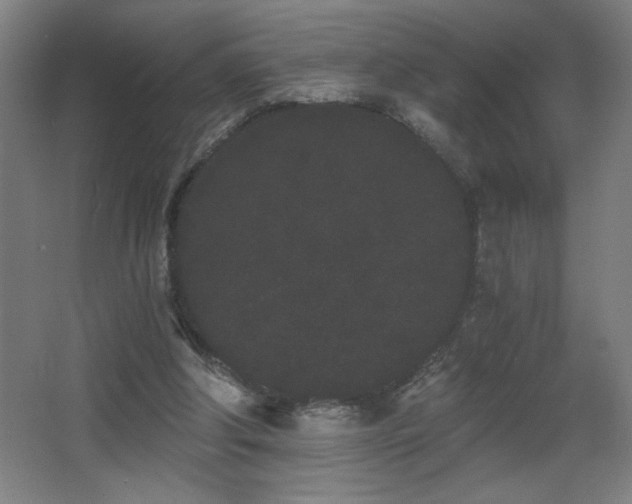 X0000068260202200604241240