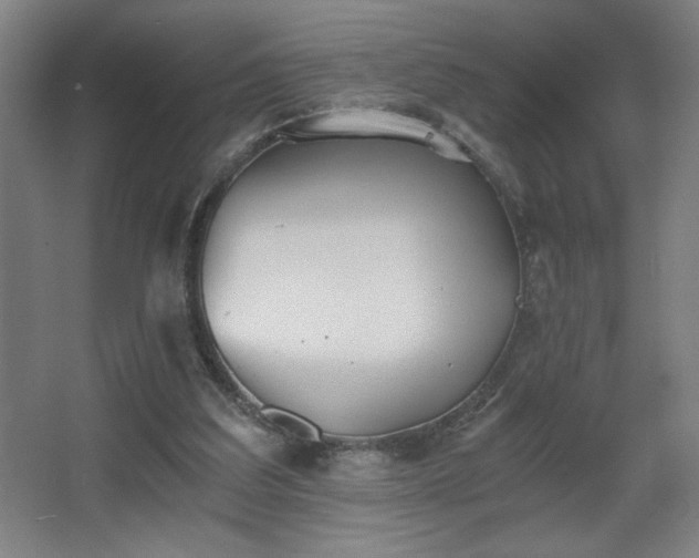 X0000068260203200604241240