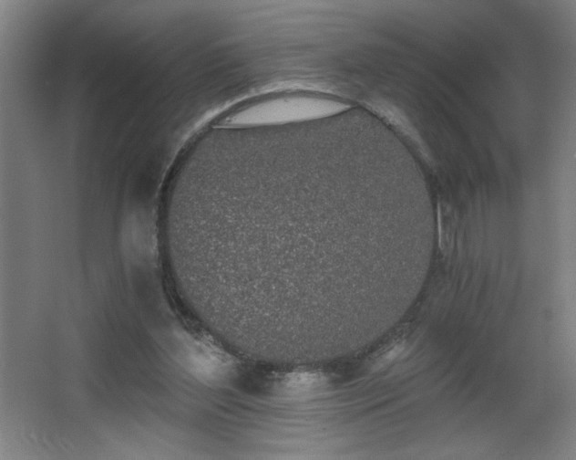 X0000068260204200604241240