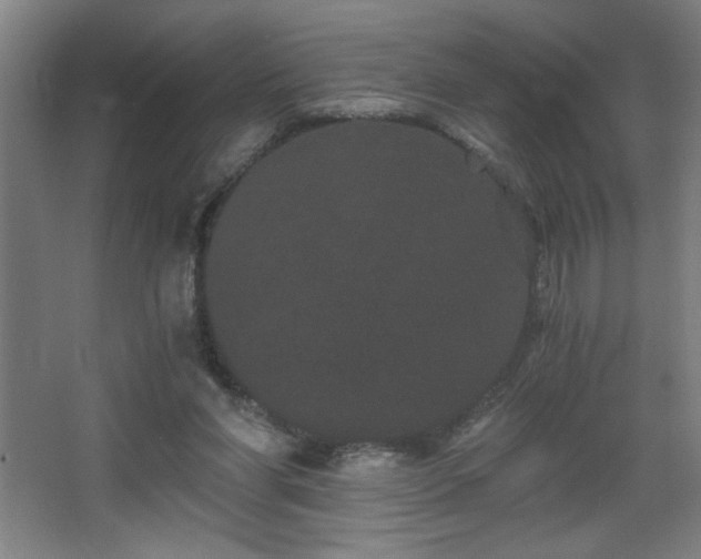 X0000068260206200604241240