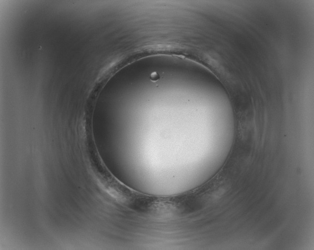 X0000068260207200604241240