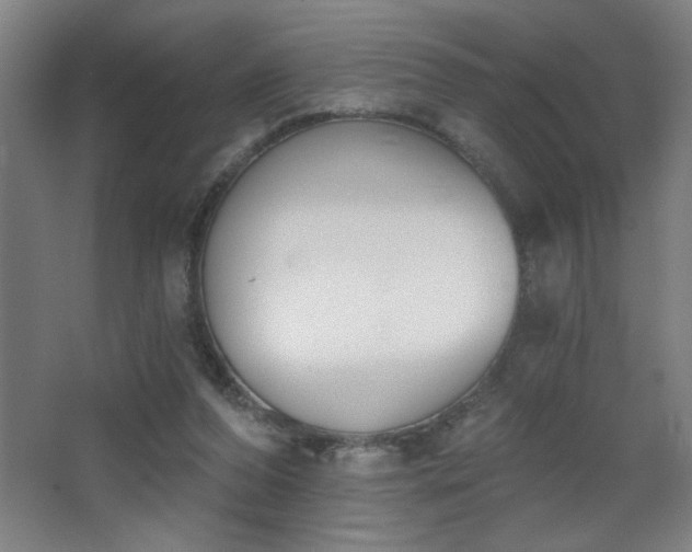 X0000068260208200604241240