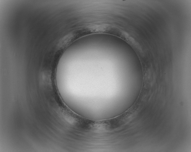 X0000068260209200604241240