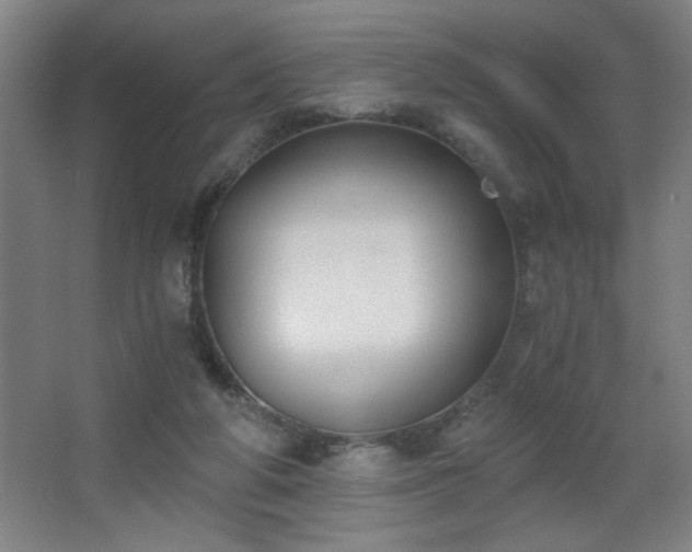 X0000068260210200604241240