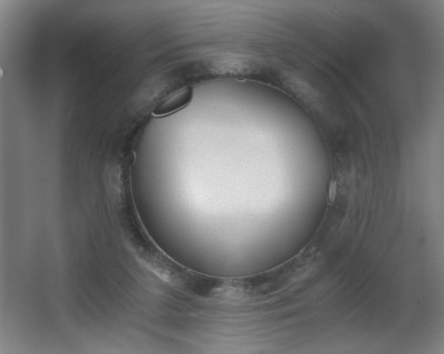 X0000068260211200604241240