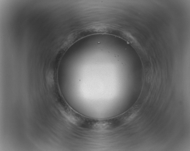 X0000068260213200604241240