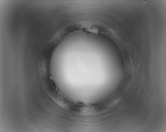 X0000068260215200604241240