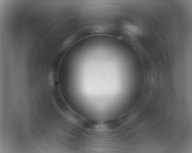 X0000068260216200604241240