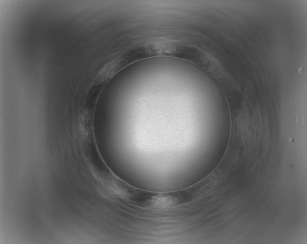 X0000068260218200604241240